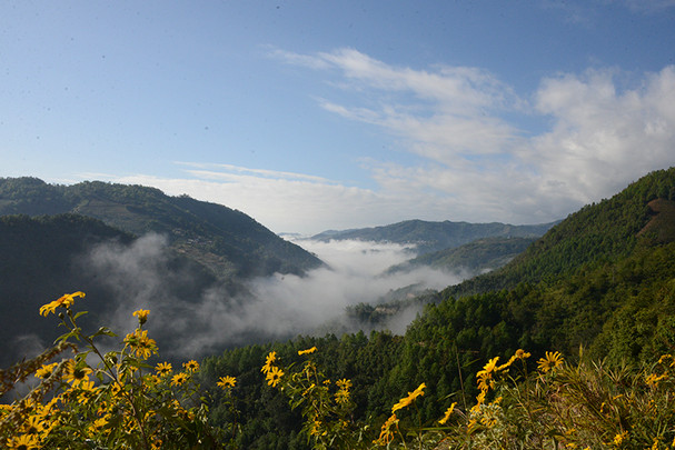DSC_7368-1.jpg
