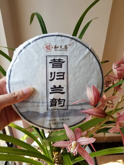 和元昌2022昔归兰韵