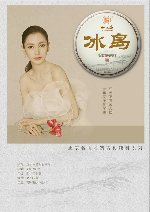 和元昌2014冰岛