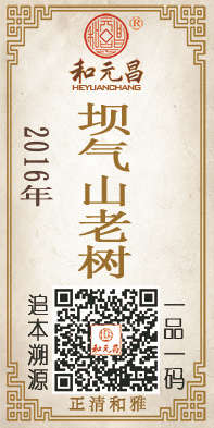 2016坝气山老树.jpg