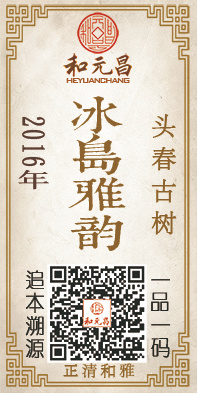 2016冰岛雅韵.jpg