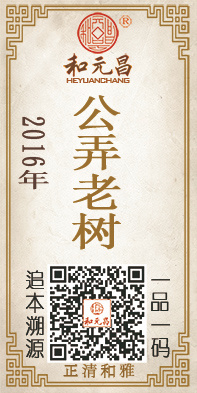 2016公弄老树.jpg