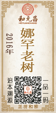 2016娜罕老树.jpg