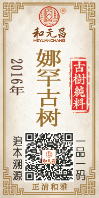 2016娜罕古树.jpg