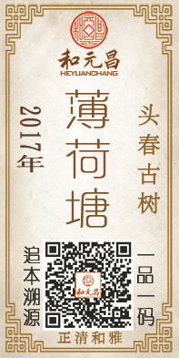 2017薄荷塘.jpg