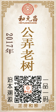 2017公弄老树.jpg