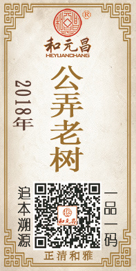 2018公弄老树.jpg