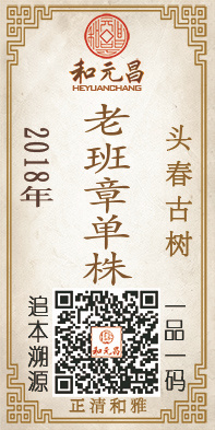 2018老班章单株.jpg