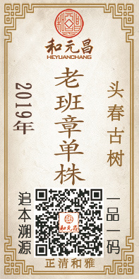 2019老班章单株.jpg