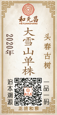 2020大雪山单株.jpg