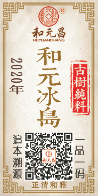2020和元冰岛.jpg