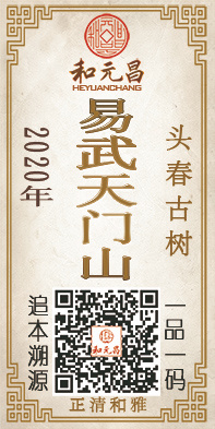 2020天门山.jpg