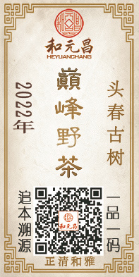 2022巅峰野茶.jpg