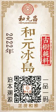 2022和元冰岛.jpg