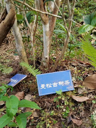 微信图片_20230313200019222.jpg