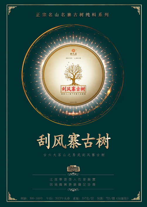和元昌2023刮风寨古树