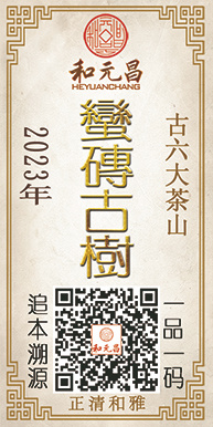 15-2023蛮砖古树1大张.jpg