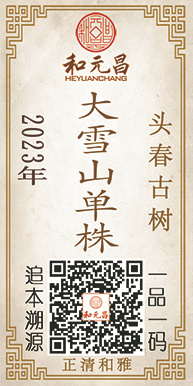 17-2023大雪山单株2大张.jpg