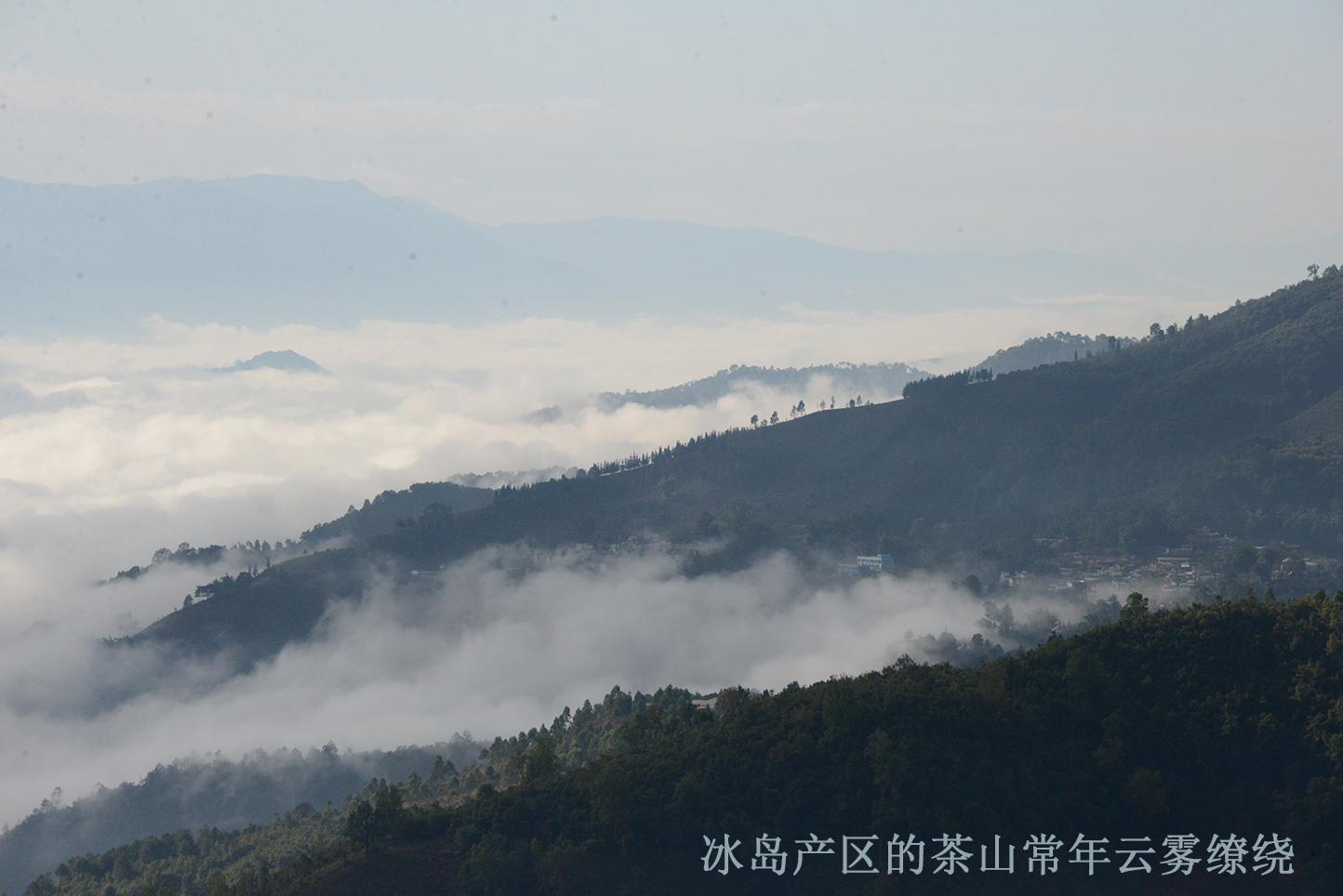 DSC_7381-1.jpg