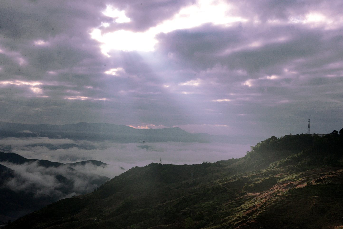 DSC_7361-2.jpg