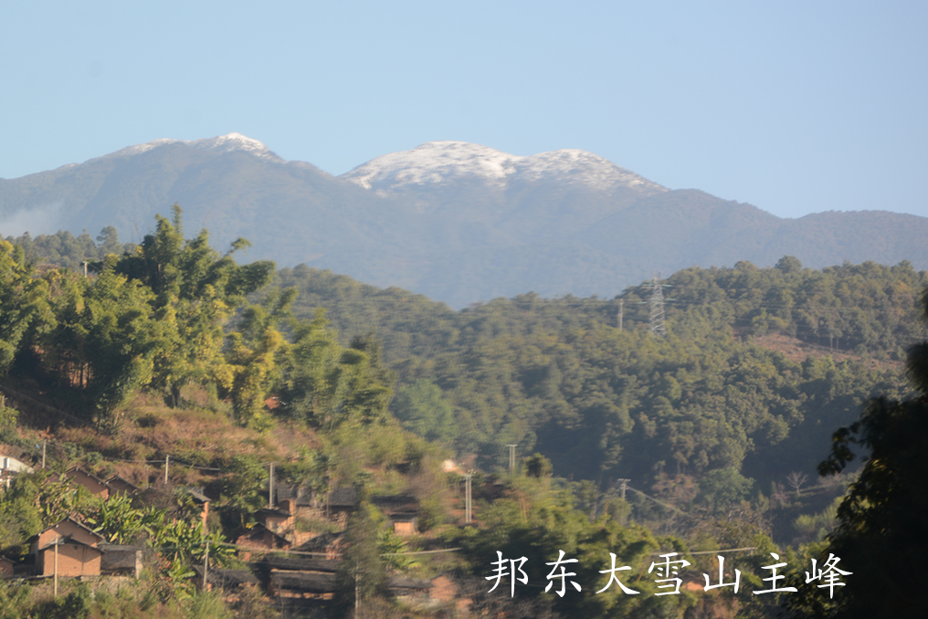 DSC_7355-2.jpg