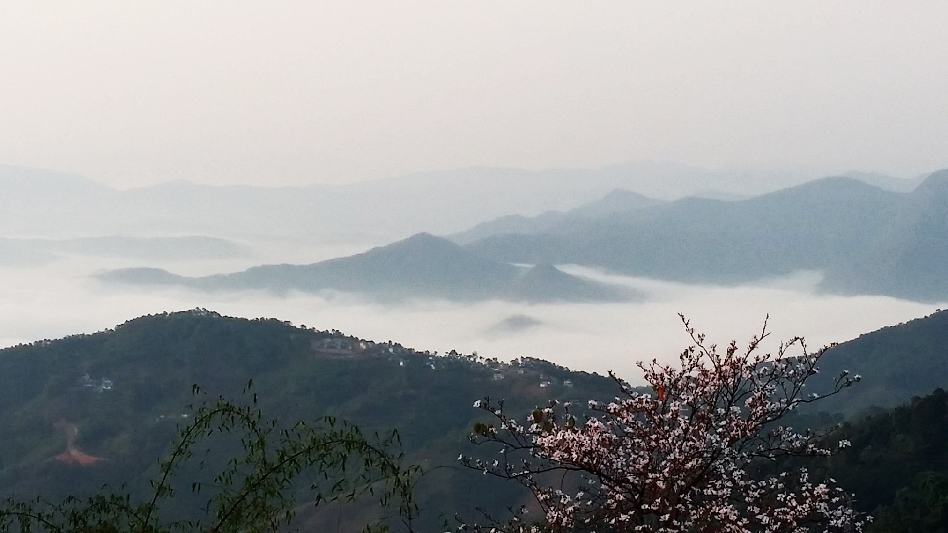 20160407_072622.jpg