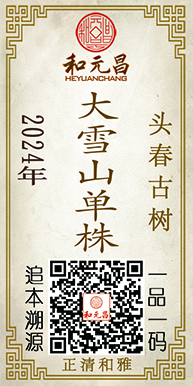 2024大雪山单株2.jpg