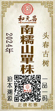 2024南糯山单株2.jpg